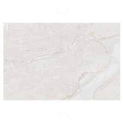 Trueliving_Orient Bell Dyna Grey LT Glossy 450 mm x 300 mm Ceramic Wall Tile_Price-40_Per Sq Ft.