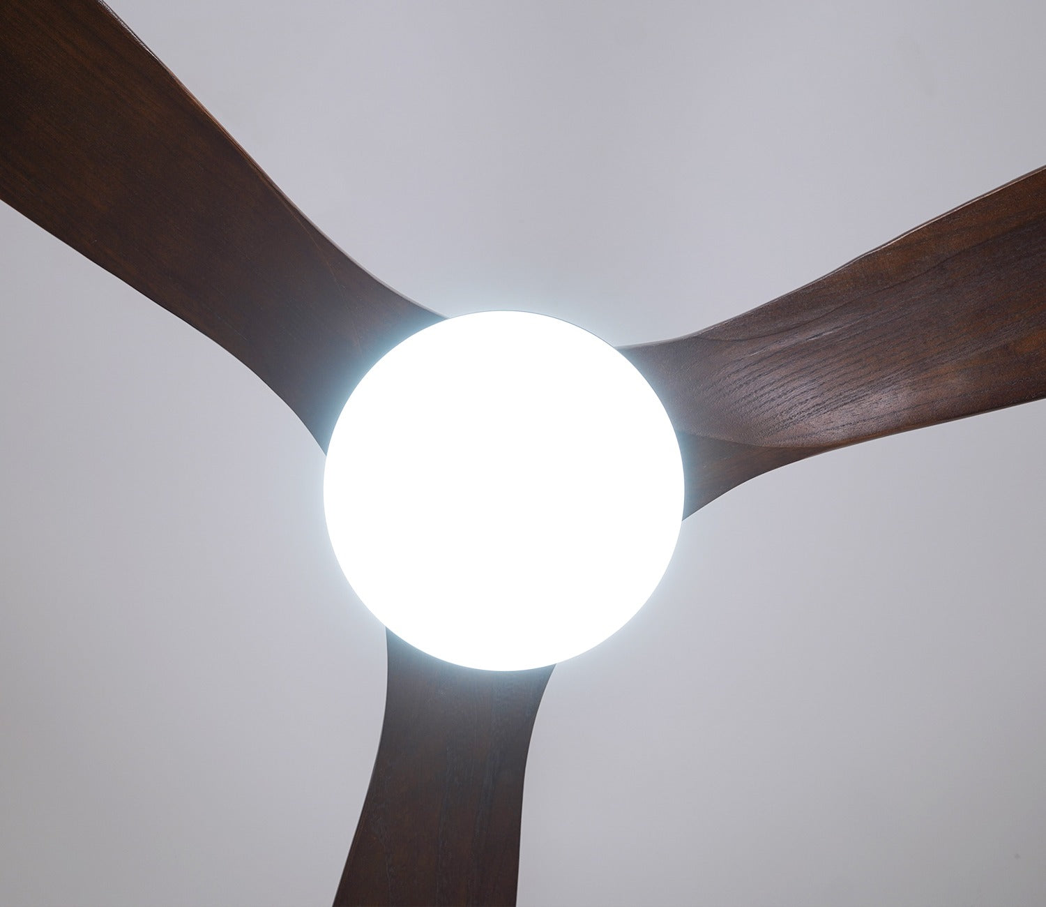Three Feathers of Bliss Lighting Fan
