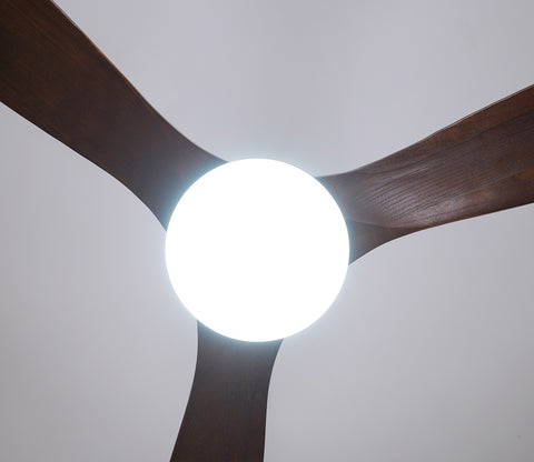 Three Feathers of Bliss Lighting Fan