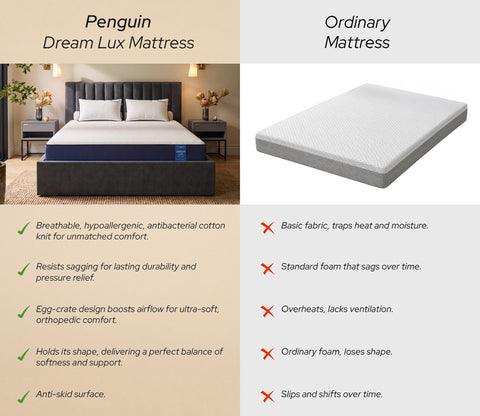 DreamLux Smart Ortho Memory Foam Mattress (6 inch, Queen Size, 78 x 60)