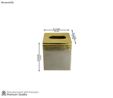 Neysa Hammered Gold and Silver Tissue Box
