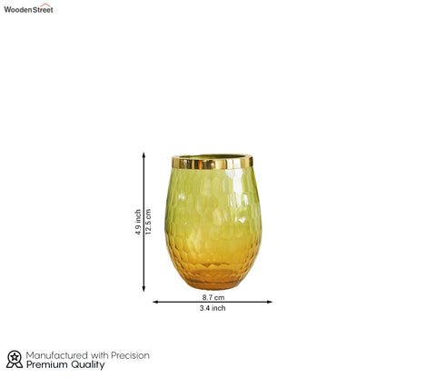 Sorrel Shady Green and Gold Glass Toothbrush Holder