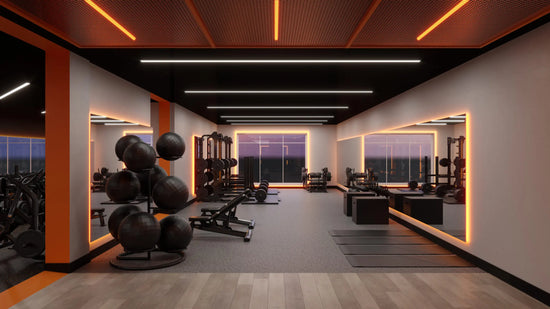 Gyms - Fitness Centers