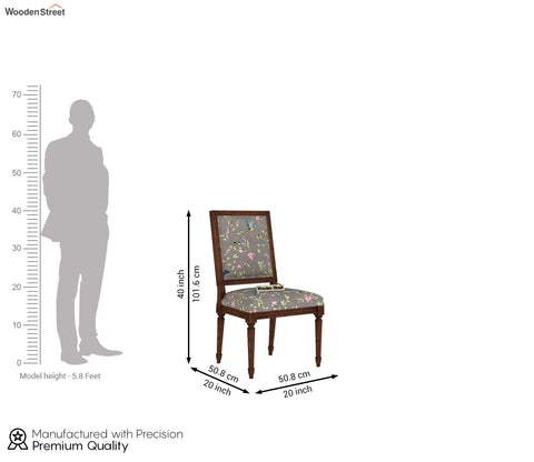 Shell Without Arm Dining Chair (Grey Robins)