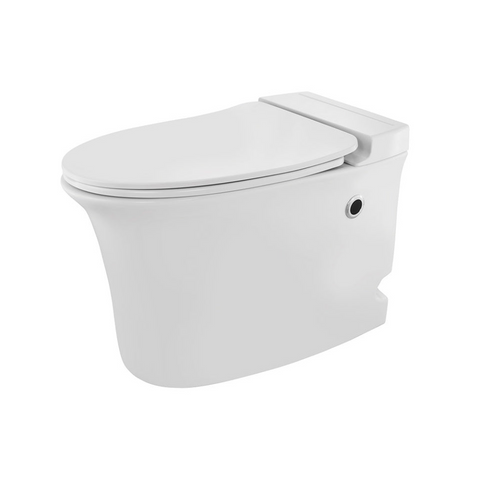Trueliving_Ornamix Tankless Single Piece WC_380x620x450 mm_White