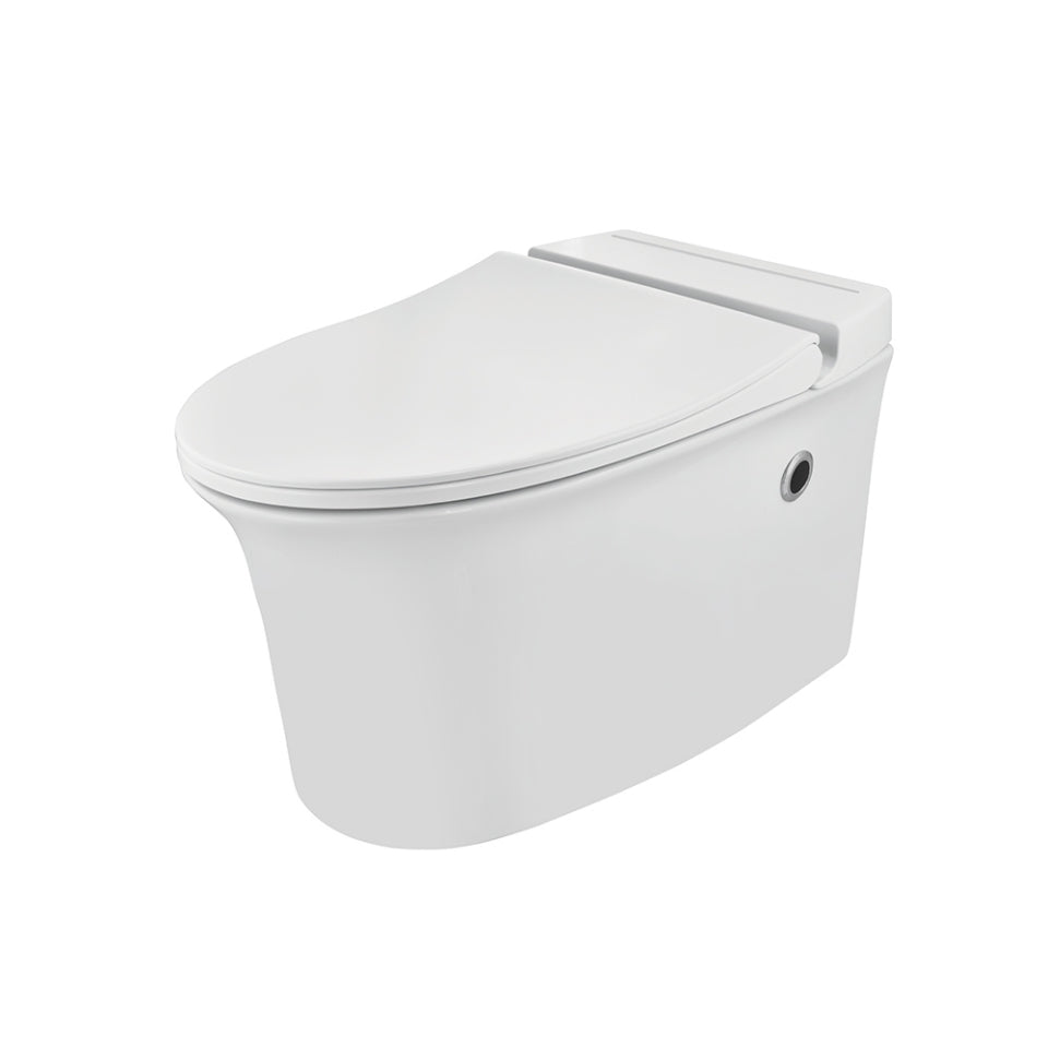 Trueliving_Ornamix Tankless Wall Hung WC_380x625x385 mm_White