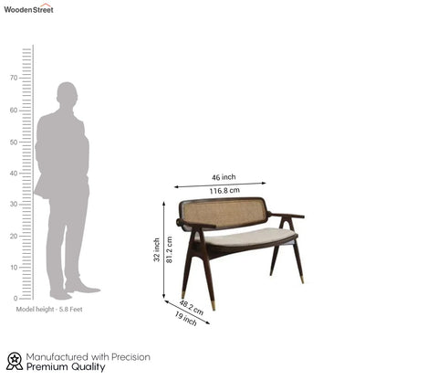 Advait Teak Wood Bench with Cushion Seating (Teak Finish)