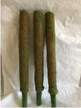 Moss Stick for Climbing Plants