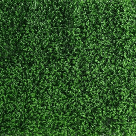TrueLiving Beautiful Walls Artificial Wall Grass Group for Home Decoration I Grass Group Mat for Wall I Vertical Garden Artificial Wall Plants  20" x 20"