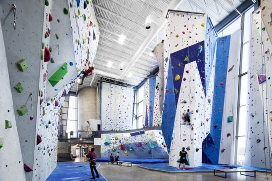 Fitness Centers - Climbing Gyms