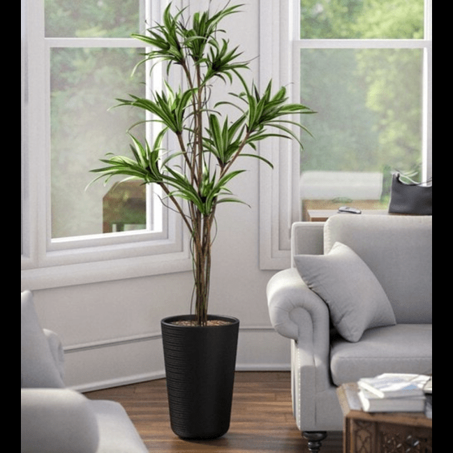 Trueliving Tall Round Black  Polymer Floor Plant Pot width:4.5'' Height:6.5''