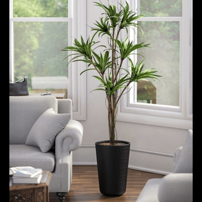 Trueliving Tall Round Black  Polymer Floor Plant Pot width:4.5'' Height:6.5''