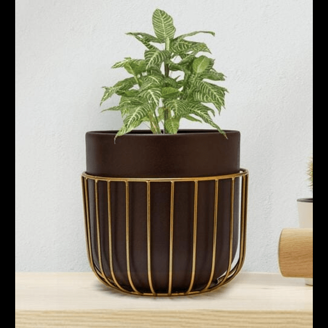 Trueliving Round Golden Black Polymer Floor Plant Pot width:53'' Height:6.5''