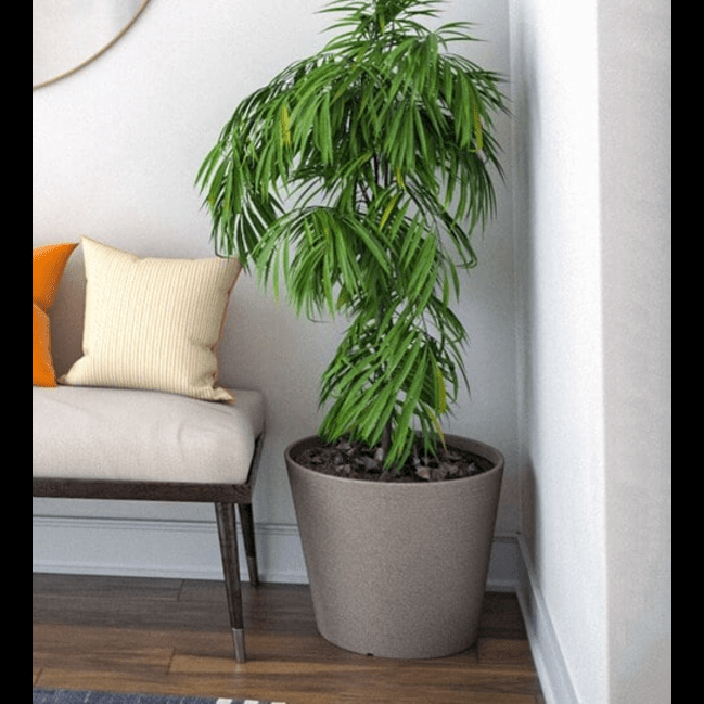 Trueliving Silver Round Plan  Polymer Floor Plant Pot width:6.5'' Height:7.9''