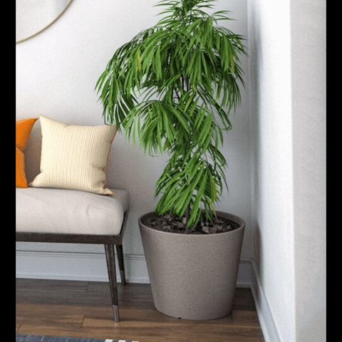 Trueliving Silver Round Plan  Polymer Floor Plant Pot width:6.5'' Height:7.9''