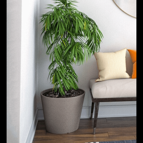 Trueliving Silver Round Plan  Polymer Floor Plant Pot width:6.5'' Height:7.9''