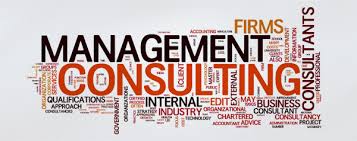 Consultants(Business, Management, IT, etc)