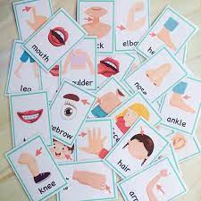 Trueliving Krazy Body Parts Flash Cards for Kids & Toddlers I 24 Real Picture Flash Cards for Babies 3 Months to 6 Years