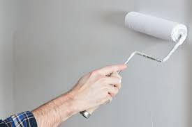 Paint Brush Roller | Smooth & Quick Wall Painting Tool