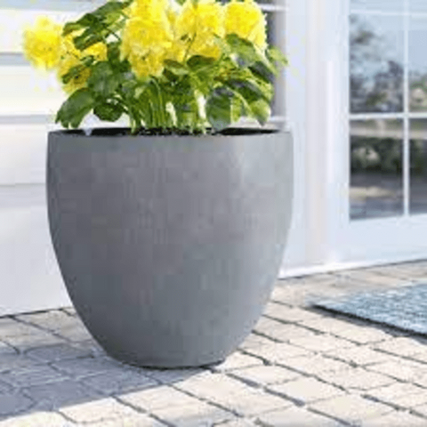 Trueliving  Grey Polymer Floor Plant Pot width:6.5'' Height:7.9''
