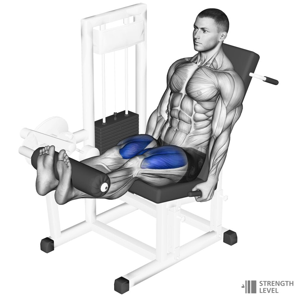 Leg Curl-Extension - gym equipment