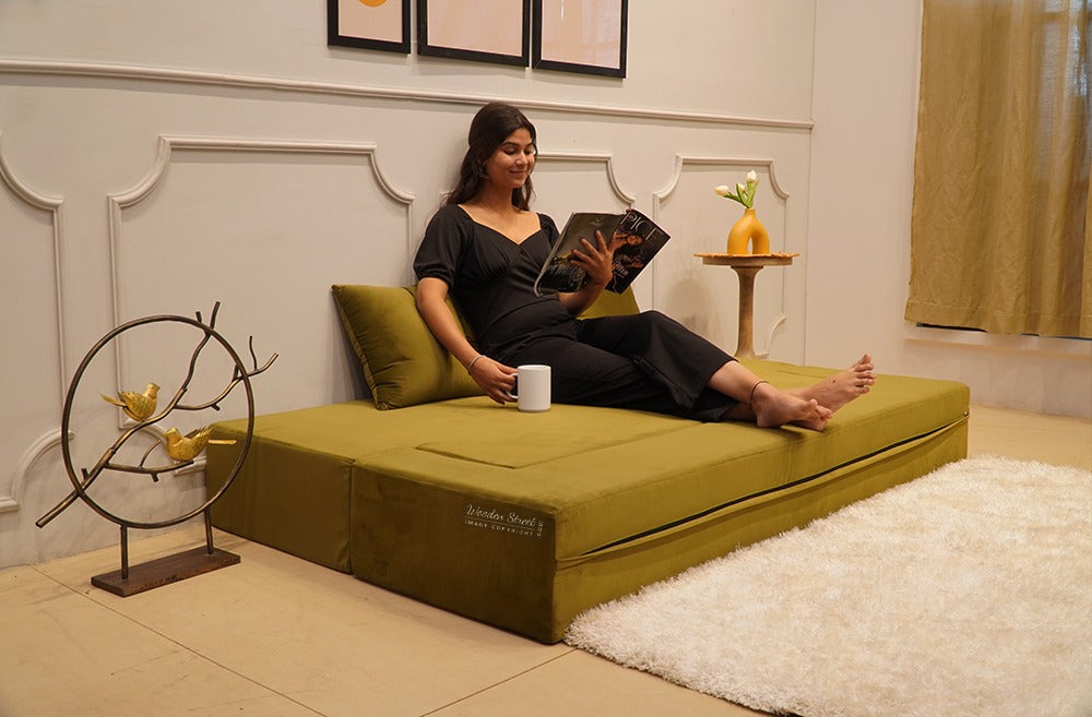 Paxton Premium Velvet 3 Seater Fabric Sofa Cum Bed (Dark Olive Green)