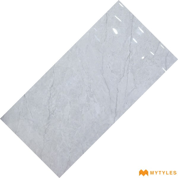Daughter Bathroom 1 Floor Tiles – Indian (48" x 24")