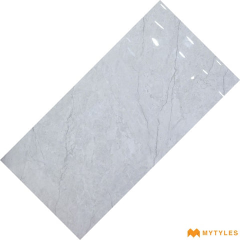 Daughter Bathroom 1 Floor Tiles – Indian (48" x 24")