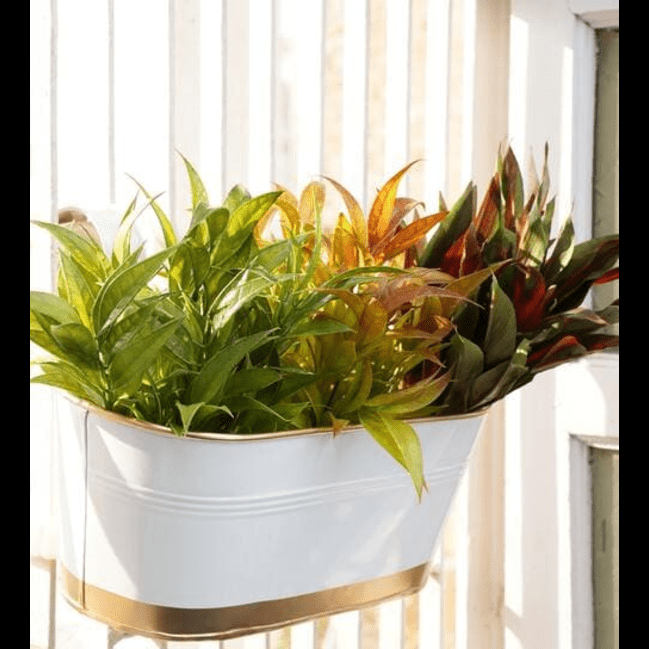 Trueliving Golden White Polymer Floor Plant Pot width:14.9'' Height:7.9''