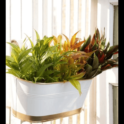 Trueliving Golden White Polymer Floor Plant Pot width:14.9'' Height:7.9''